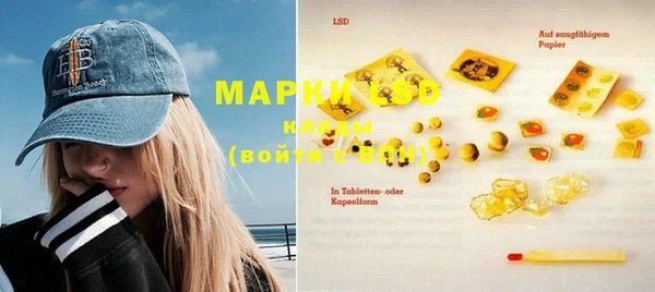 крисы Магас
