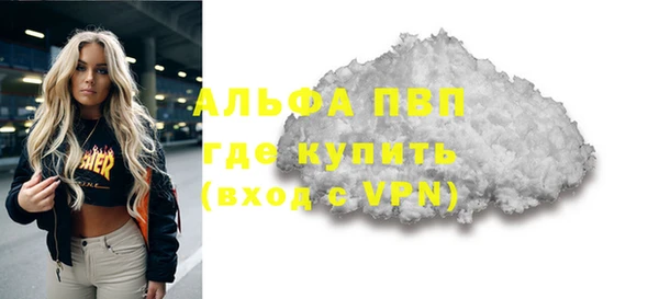 крисы Магас