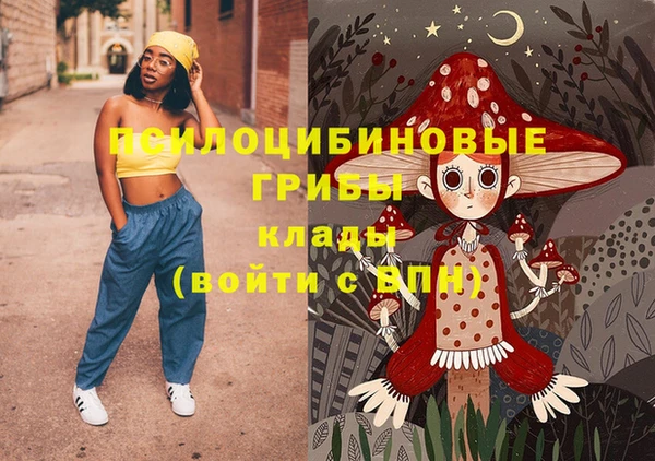 крисы Магас