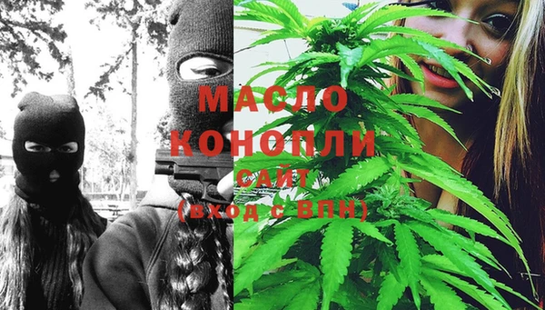 крисы Магас