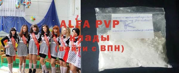 крисы Магас