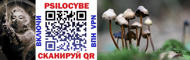 Псилоцибиновые грибы Cubensis Тольятти