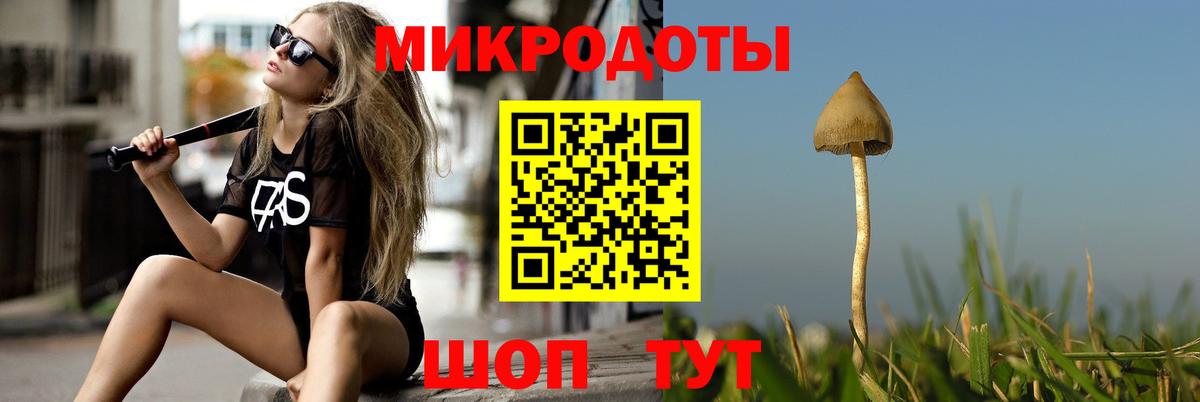 Галлюциногенные грибы Magic Shrooms  Галлюциногенные грибы Cubensis  Тольятти 