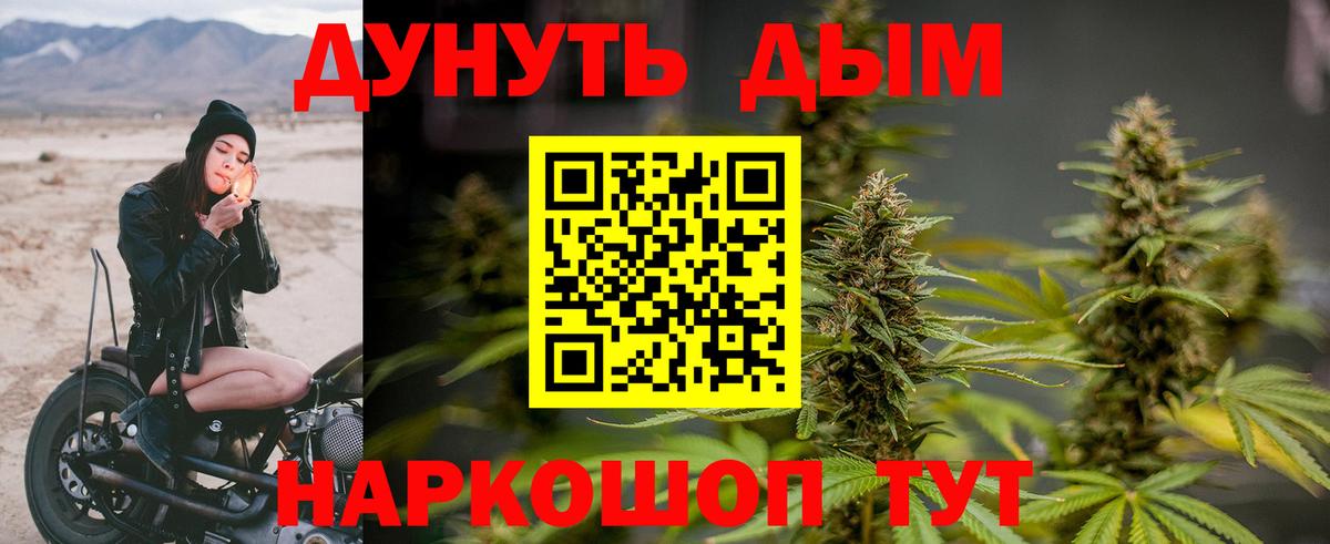 Шишки марихуана планчик Тольятти